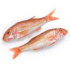 Barbun Kg