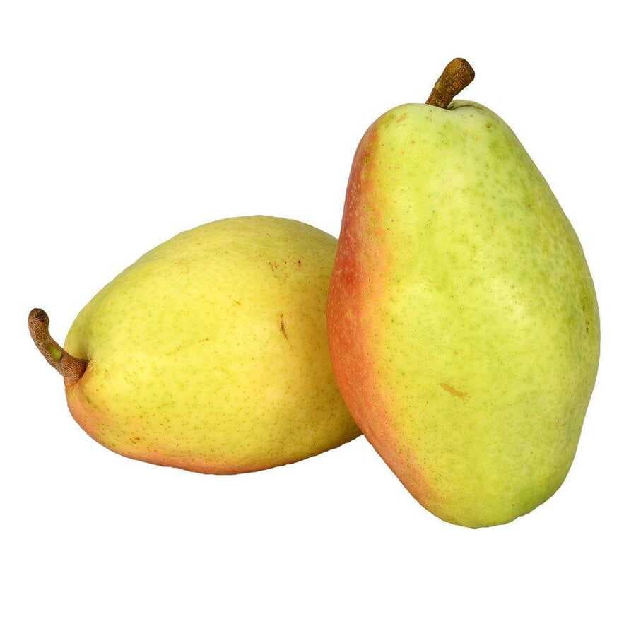 Armut Santa Maria Kg