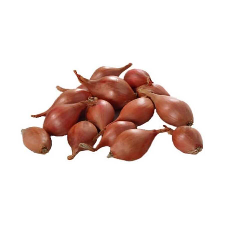 Arpacık Soğan Paket