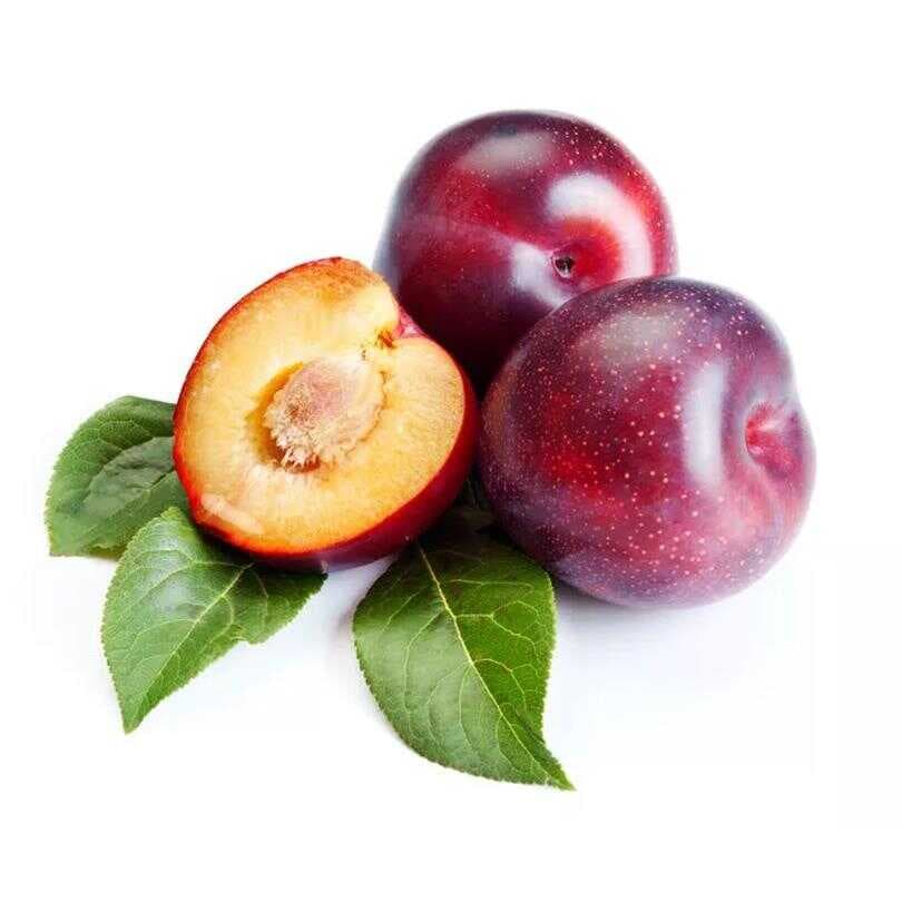 Kırmızı Erik Kg